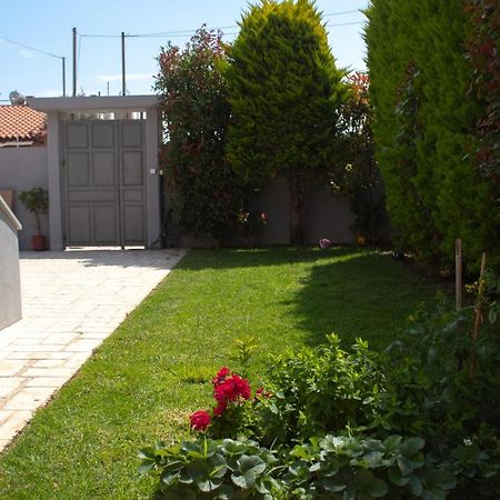 Elias Studio - Near To The Port Of Rafina And The Airport Of Athens Agios Spyridon  Exteriör bild